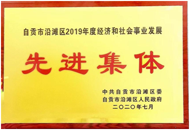 2019年經濟和社會事業發展先進集體