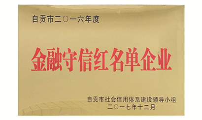 公司進入自貢市金融守信紅名單企業，信用等級評定A級